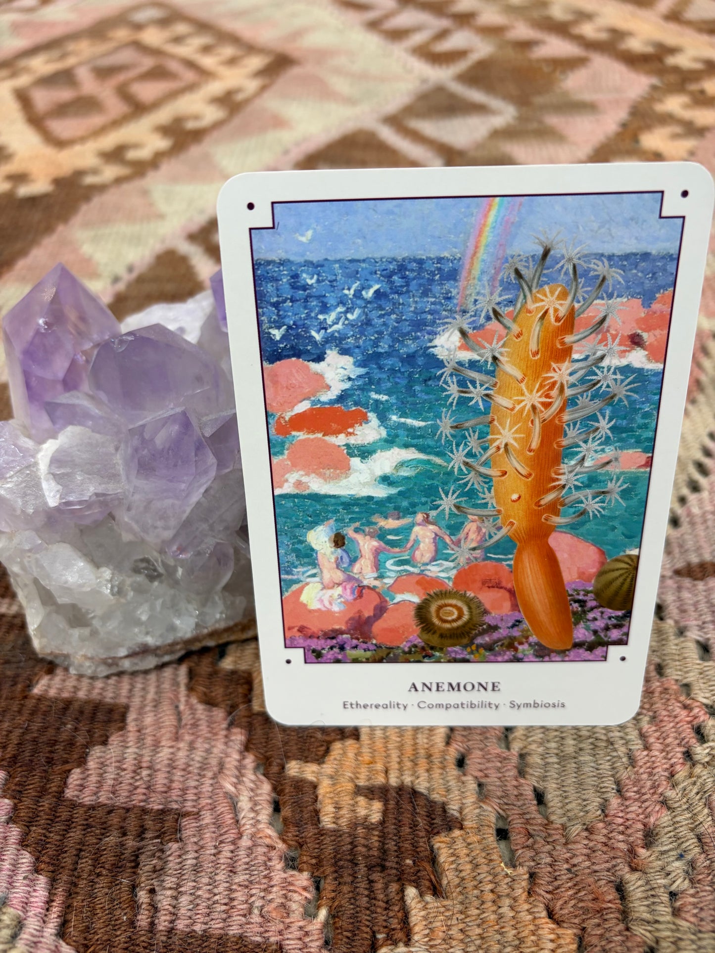 Seashell Oracle Deck