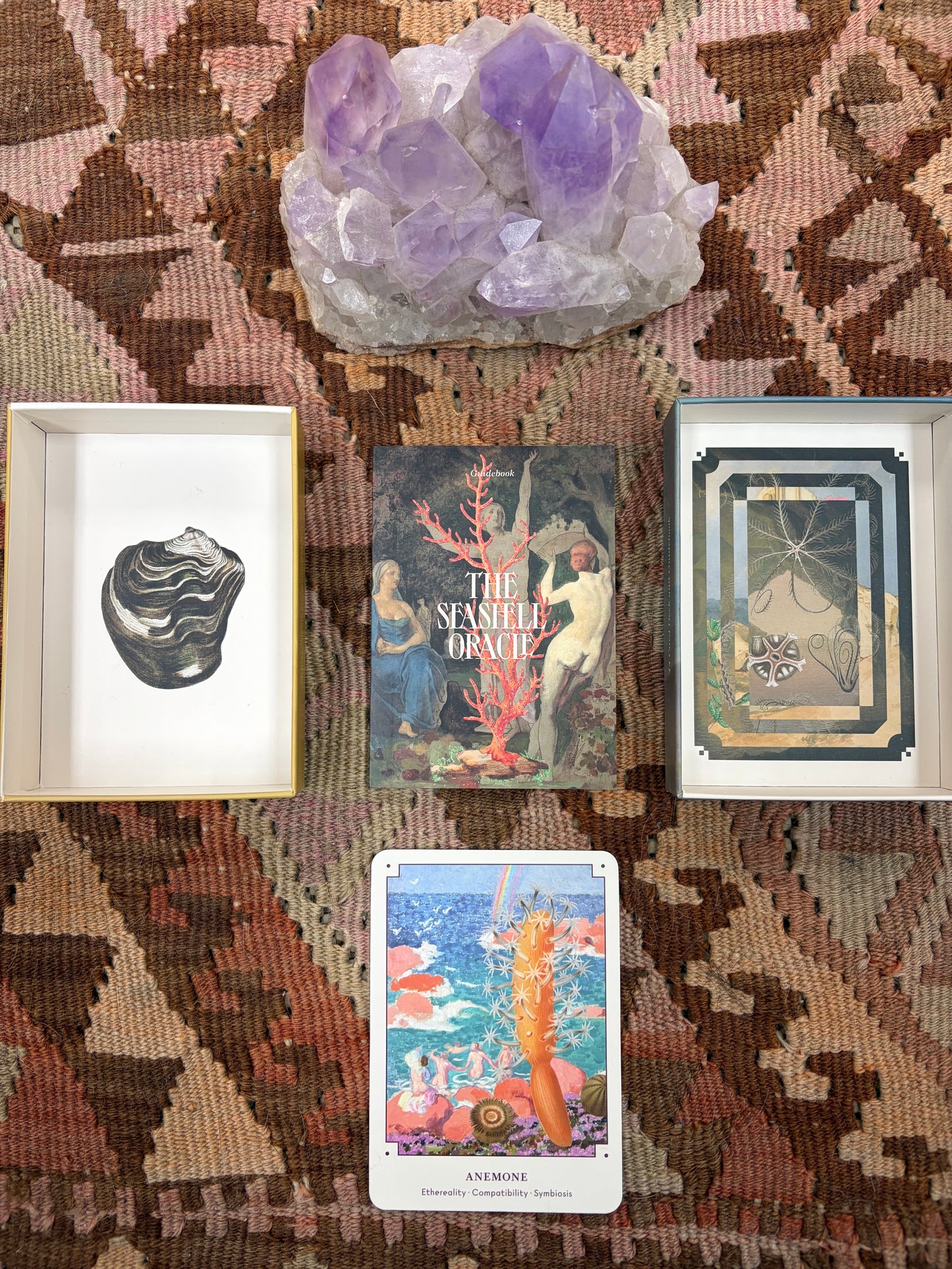 Seashell Oracle Deck