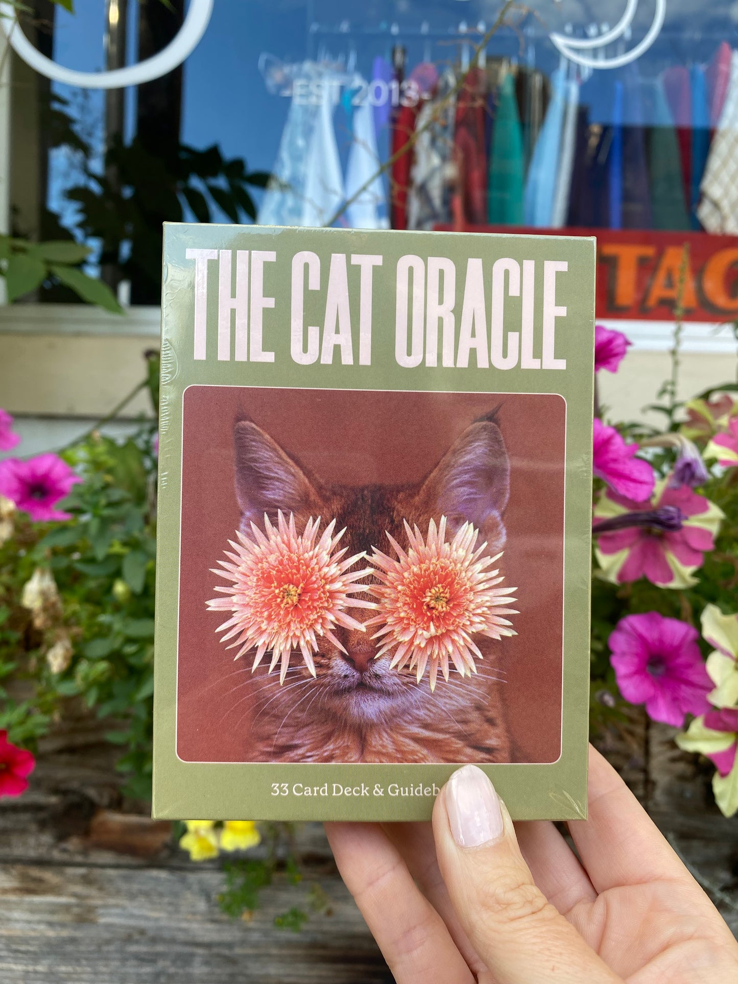 Cat Oracle Deck